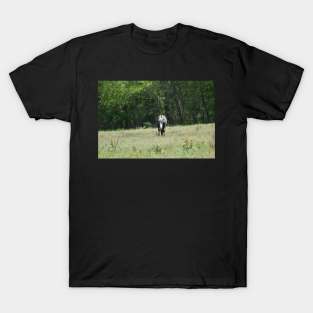 Wild Horse T-Shirt